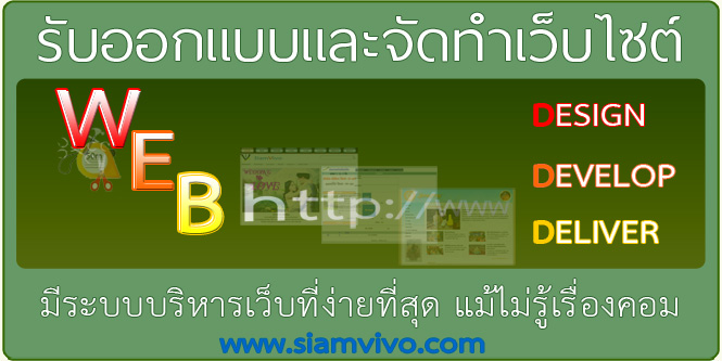 รับออกแบบและจัดทำเว็บไซต์